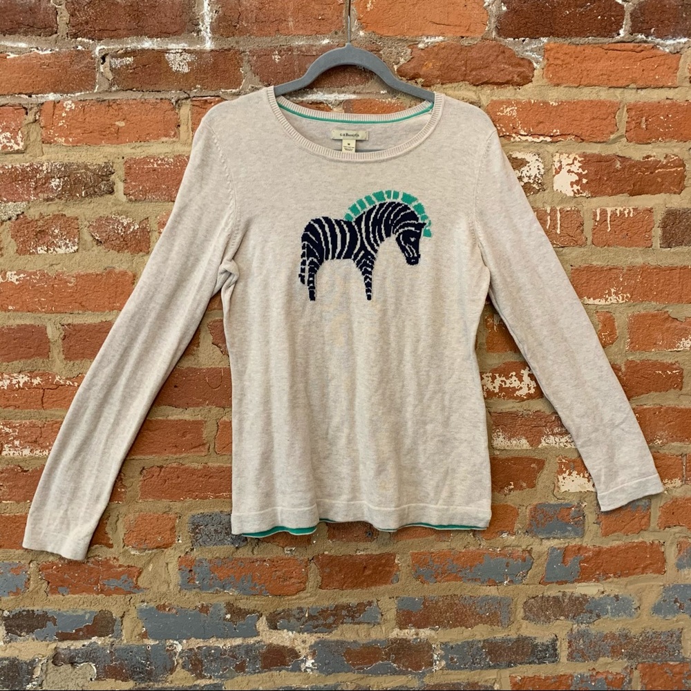 Cute Zebra Graphic Sweater GH Bass & Co.